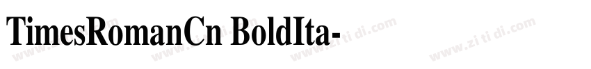 TimesRomanCn BoldIta字体转换